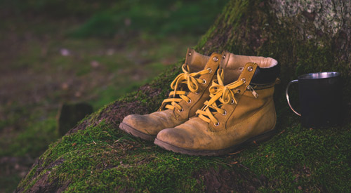 Wandern im Spreewald